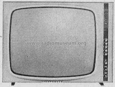 FE216T; Telefunken (ID = 301780) Television