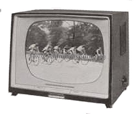 FE21T - FE21/53T; Telefunken (ID = 1813884) Television