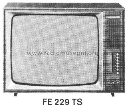 FE229TS; Telefunken (ID = 448108) Television