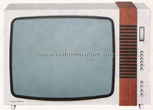 FE289TS electronic; Telefunken (ID = 2233818) Television