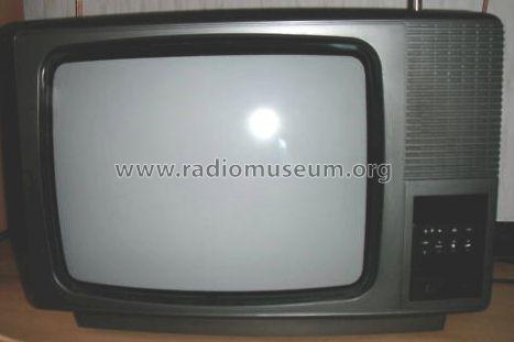 PALcolor A 125P; Telefunken (ID = 821748) Television