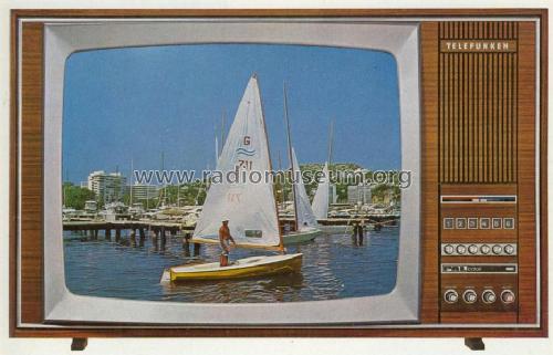 PALcolor 628T; Telefunken (ID = 845062) Televisión