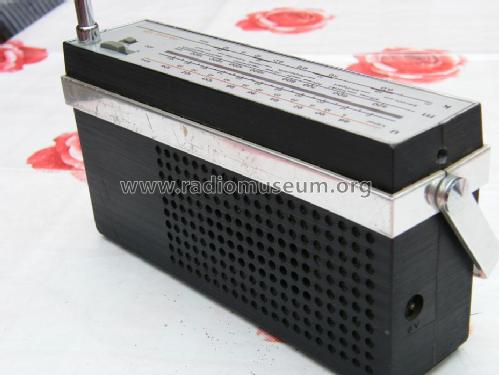 partner 105; Telefunken (ID = 1300547) Radio