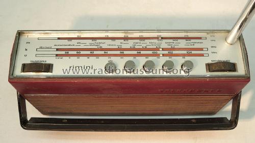 Rimini ; Telefunken (ID = 2700083) Radio