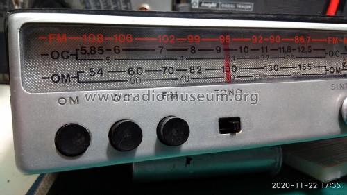 Tarantela BT-264-16-FM; Telefunken (ID = 2594374) Radio