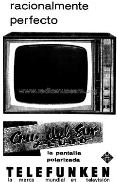 Cruz del Sur FE-124 /23 TaL; Telefunken (ID = 968642) Television