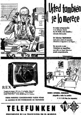 Rex FE-113 /53T; Telefunken (ID = 969335) Television