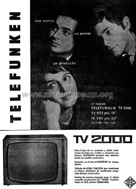 FE-2000 /19 ; Telefunken (ID = 969302) Television