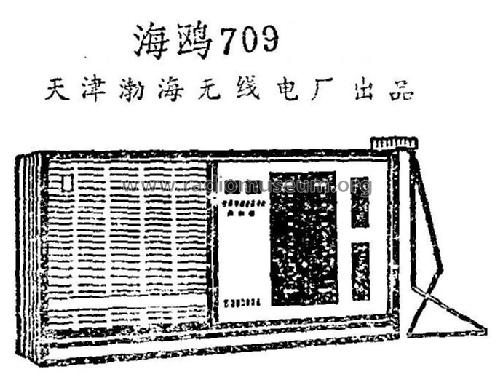 Seagull 海鸥 709; Tianjin 天津渤海无线... (ID = 817068) Radio