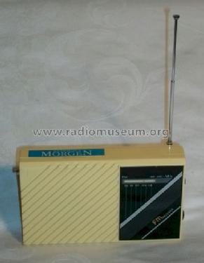 Mannheimer Morgen FM Receiver ; UNBEKANNTE FIRMA D / (ID = 1045373) Radio