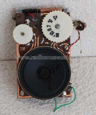 King 2 Transistors Boy's Radio ; Unknown - CUSTOM (ID = 1255304) Radio