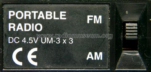 AM/FM 2 Band Radio NS-889; Unknown - CUSTOM (ID = 1441659) Radio