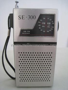 AM/FM Receiver SE - 300; Unknown - CUSTOM (ID = 2035121) Radio