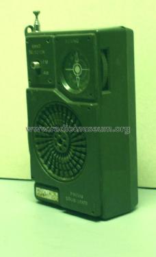 AM/FM Solid State Ravill M-10; Unknown - CUSTOM (ID = 1624378) Radio