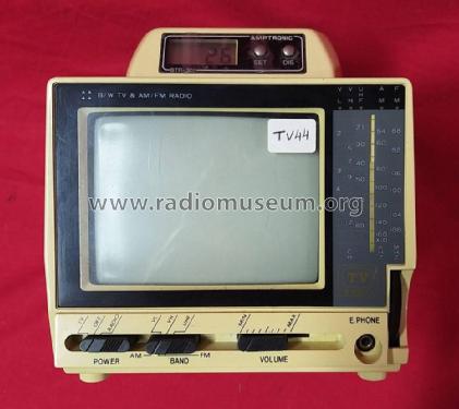 Amptronic BTR-301; Unknown - CUSTOM (ID = 3118968) TV Radio