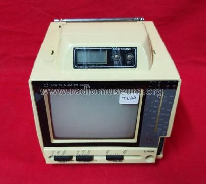 Amptronic BTR-301; Unknown - CUSTOM (ID = 3118969) TV Radio