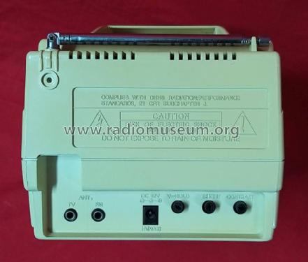 Amptronic BTR-301; Unknown - CUSTOM (ID = 3118971) TV Radio