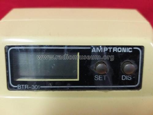 Amptronic BTR-301; Unknown - CUSTOM (ID = 3118972) TV Radio