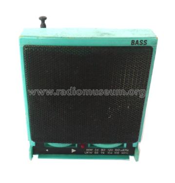 Bass 666-8751; Unknown - CUSTOM (ID = 1406531) Radio