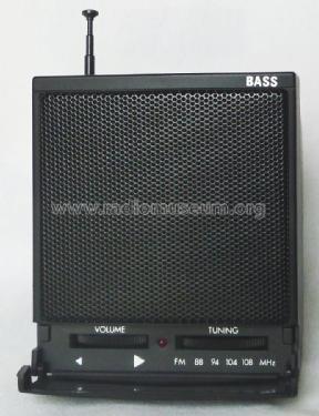 Bass 666-8751; Unknown - CUSTOM (ID = 1984633) Radio