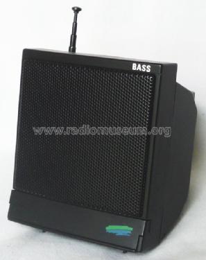 Bass 666-8751; Unknown - CUSTOM (ID = 1984634) Radio