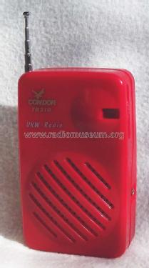 Condor TR31G; Unknown - CUSTOM (ID = 2363574) Radio