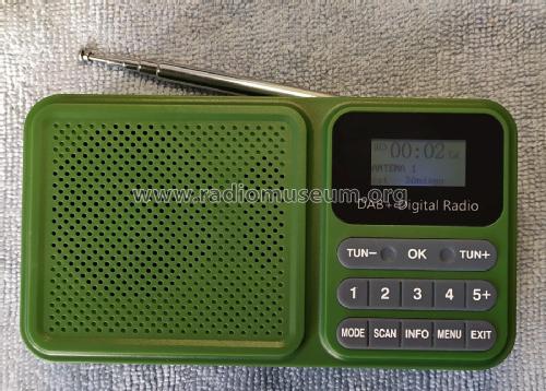 DAB FM RDS RADIO BT MP3 PLAYER DAB-P11; Unknown - CUSTOM (ID = 3071261) Radio