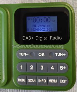 DAB FM RDS RADIO BT MP3 PLAYER DAB-P11; Unknown - CUSTOM (ID = 3071265) Radio