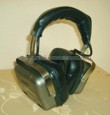 Daiton Radio Headphones SKH-800; Unknown - CUSTOM (ID = 1213969) Radio
