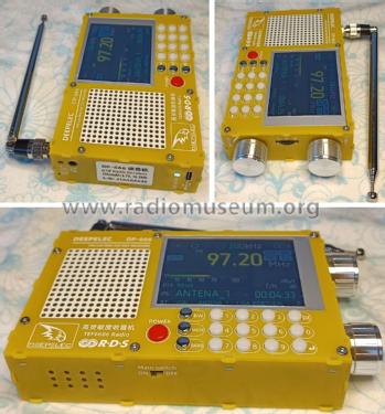 DEEPELEC DP-666; Unknown - CUSTOM (ID = 3085006) Radio