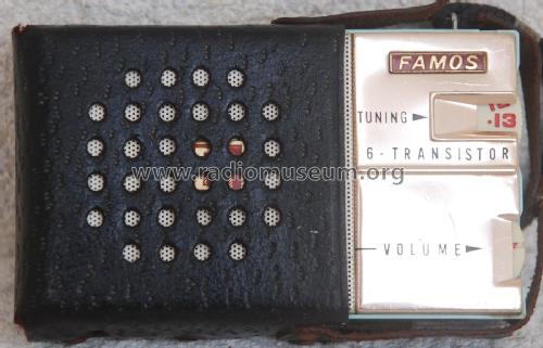 Famos 6 Transistor ; Unknown - CUSTOM (ID = 2652936) Radio