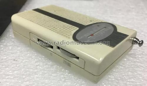 FM AM Portable ; Unknown - CUSTOM (ID = 2444110) Radio