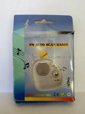 FM Auto Scan Radio with Light ; Unknown - CUSTOM (ID = 2157470) Radio