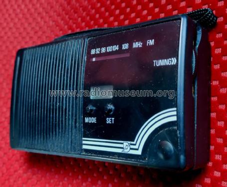 FM Radio D ; Unknown - CUSTOM (ID = 2720878) Radio