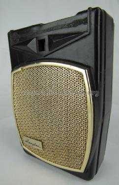 Hampton Boy's Radio; Unknown - CUSTOM (ID = 2825699) Radio