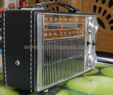 Hi Tone Solid State PF-1210; Unknown - CUSTOM (ID = 2515507) Radio