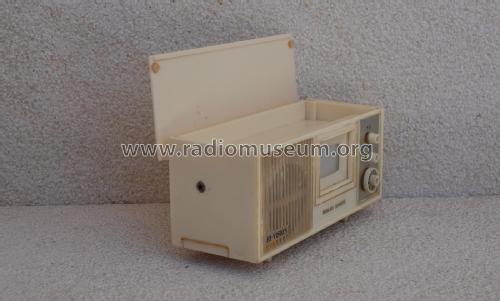 HI-Vision Solid State TV ; Unknown - CUSTOM (ID = 1990731) Radio