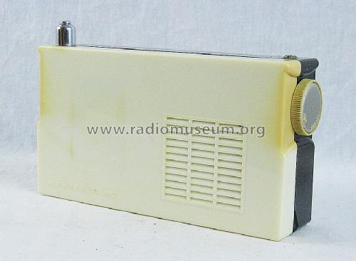 Hilton FM/AM 10 Transistor Radio ; Unknown - CUSTOM (ID = 1465193) Radio