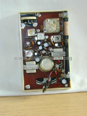 Hobby 8 Transistor ; Unknown - CUSTOM (ID = 553030) Radio