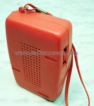 Hobby Solid State ; Unknown - CUSTOM (ID = 1302845) Radio