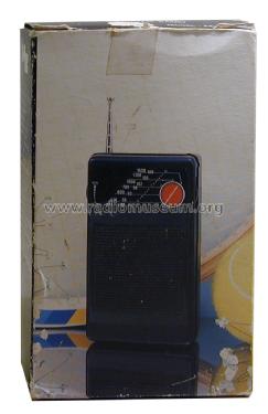 HZ FX-103; Unknown - CUSTOM (ID = 1610756) Radio