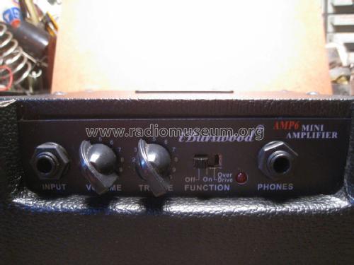 iBurswood Mini Amplifier AMP6; Unknown - CUSTOM (ID = 2021613) Ampl/Mixer