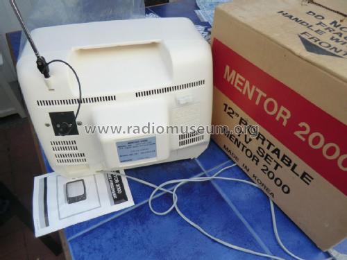 Mentor 2000; Unknown - CUSTOM (ID = 1844640) Television