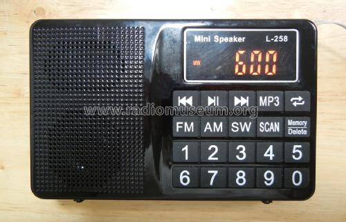 FM/AM/SW Multiband Radio MP3 Mini Speaker L-258; Unknown - CUSTOM (ID = 2632177) Radio