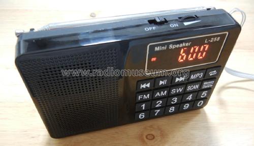 FM/AM/SW Multiband Radio MP3 Mini Speaker L-258; Unknown - CUSTOM (ID = 2632178) Radio