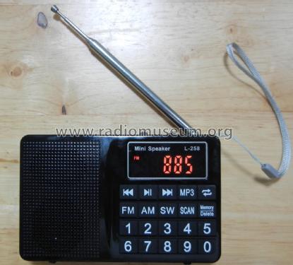 FM/AM/SW Multiband Radio MP3 Mini Speaker L-258; Unknown - CUSTOM (ID = 2632181) Radio