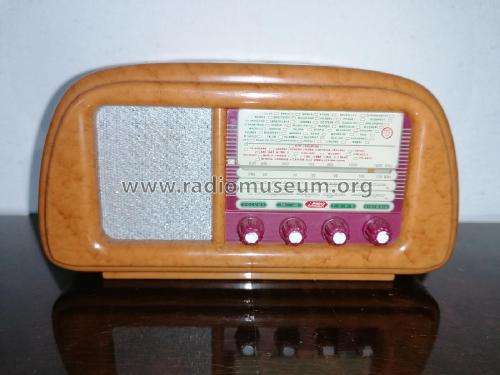 Miniature Formenti FCD 101; Unknown - CUSTOM (ID = 2755291) Radio