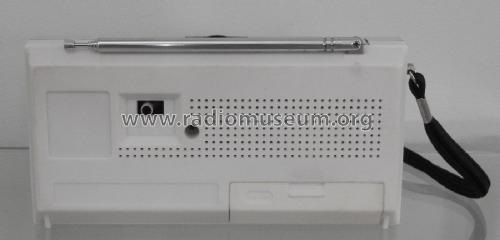 MTC AM-FM portable radio ; Unknown - CUSTOM (ID = 2921395) Radio