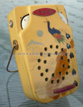 Oriental All Transistor ; Unknown - CUSTOM (ID = 1227120) Radio