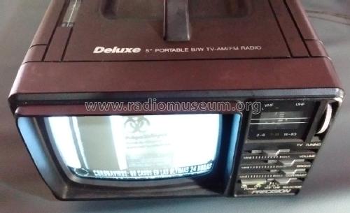 Precision Deluxe 5' Portable B/W TV-AM/FM Radio PTV969; Unknown - CUSTOM (ID = 2510784) Fernseh-R